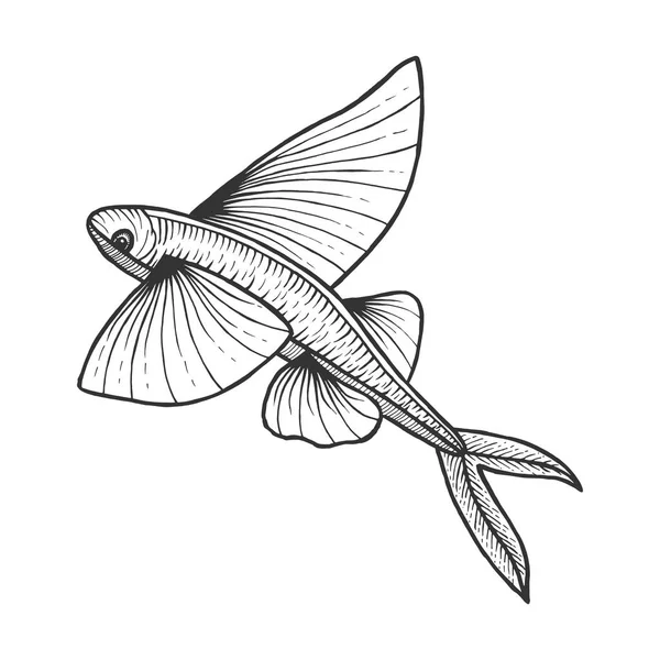 Flying fish dierlijke schets gravure vectorillustratie. Kras bestuur stijl imitatie. Zwart-wit getekende handbeeld. — Stockvector