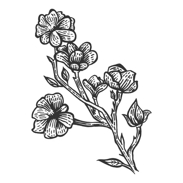 Magnolia flor bosquejo grabado vector ilustración. Scratch board estilo imitación. Imagen dibujada a mano en blanco y negro . — Vector de stock