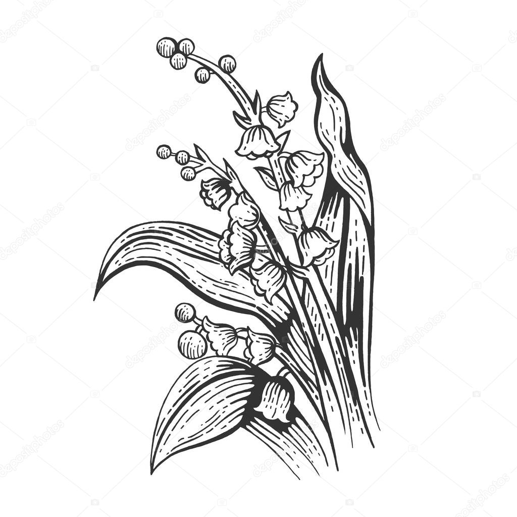Lily of the valley convallaria flower sketch engraving vector illustration. Scratch board style imitation. Black and white hand drawn image.