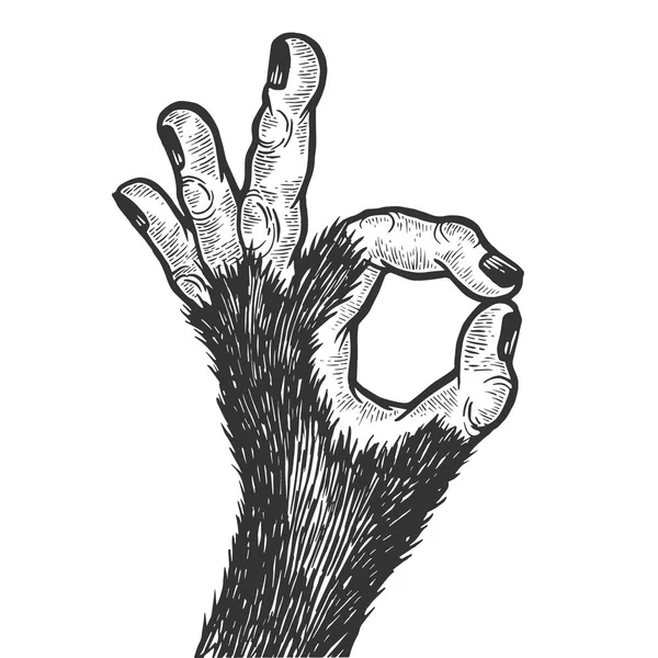 Mano de animal mono con ilustración de vectores de grabado de bosquejo de gesto ok. Buena señal. Scratch board estilo imitación. Imagen dibujada a mano . — Archivo Imágenes Vectoriales