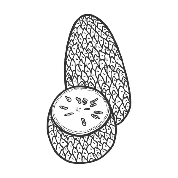 Soursop graviola guyabano annona εξωτικών φρούτων σκίτσο εικονογράφηση φορέα χάραξης. Μηδέν διοικητικό στυλ απομίμηση. Μαύρο και λευκό χέρι συρμένο εικόνα. — Διανυσματικό Αρχείο