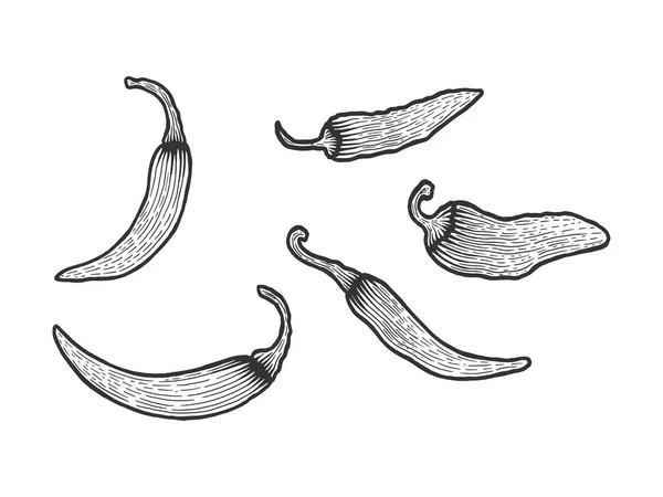 Peppers esboço gravura vetor ilustração. Imitação de estilo Scratch board. Imagem desenhada à mão . —  Vetores de Stock