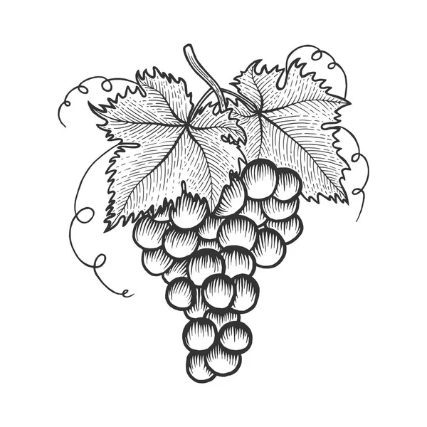 Група винограду з листям ескіз гравіювання Векторні ілюстрації. Імітація стилю подряпини дошки. Мальоване зображення вручну . — стоковий вектор