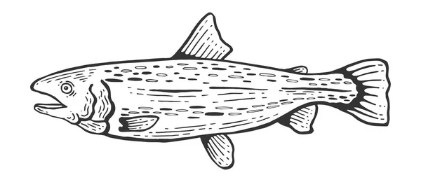 Salmão peixe animal esboço gravura vetor ilustração. Imitação de estilo Scratch board. Imagem desenhada à mão preto e branco . — Vetor de Stock