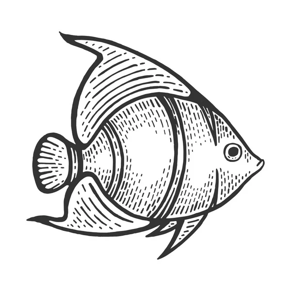 Ange poisson croquis animal gravure vectorielle illustration. Imitation de style scratch board. Image dessinée à la main noir et blanc . — Image vectorielle
