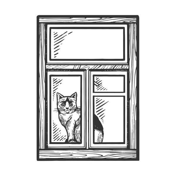 Domestic Cat uitziende Window sketch gravure vector illustratie. Scratch board stijl imitatie. Zwart en wit hand getekend beeld. — Stockvector