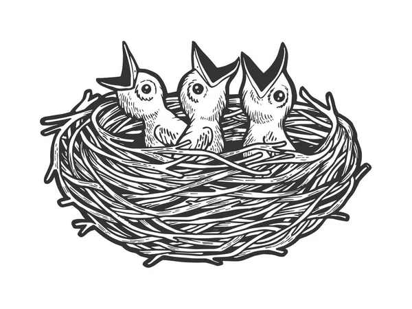 Nestling bird in nest sketch grabado ilustración vectorial. Scratch board estilo imitación. Imagen dibujada a mano en blanco y negro . — Vector de stock