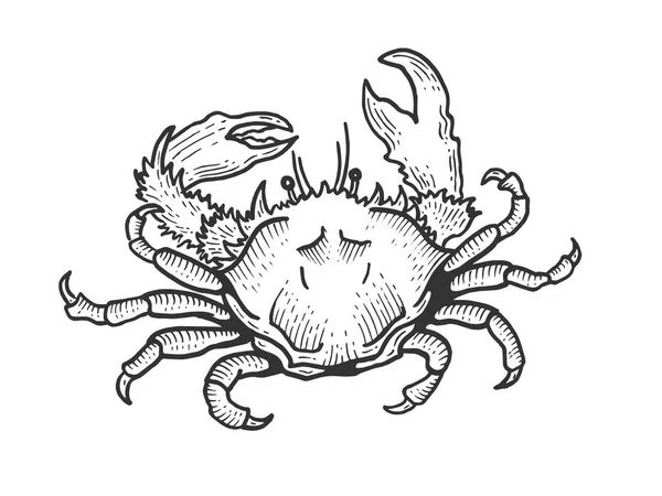 Crabe croquis animal marin gravure vectorielle illustration. Imitation de style scratch board. Image dessinée à la main noir et blanc . — Image vectorielle