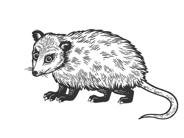 Opossum 동물 스케치 조각 벡터 일러스트레이션입니다. 스크래치 보드 스타일 모방. 흑백 손으로 그린 이미지. — 스톡 벡터
