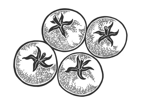 Náčrt rostliny rajčete vyryté vektorovou ilustraci. Napodobení stylu pomocné desky. Obrázek nakreslený ručně. — Stockový vektor