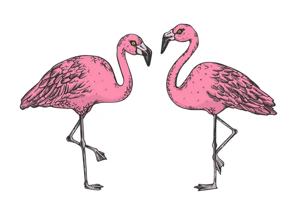 Illustration vectorielle de gravure d'esquisse couleur Flamingo oiseau. Imitation de style scratch board. Image dessinée à la main noir et blanc . — Image vectorielle