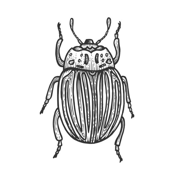 Колорадский картофельный жук рисует векторную иллюстрацию. Имитация в стиле Scratch board. Черно-белое изображение . — стоковый вектор