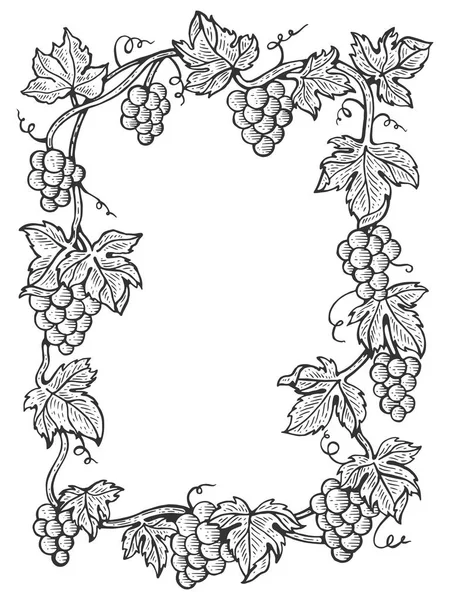 Ramo de uvas marco con hojas boceto grabado vector ilustración. Scratch board estilo imitación. Imagen dibujada a mano . — Vector de stock