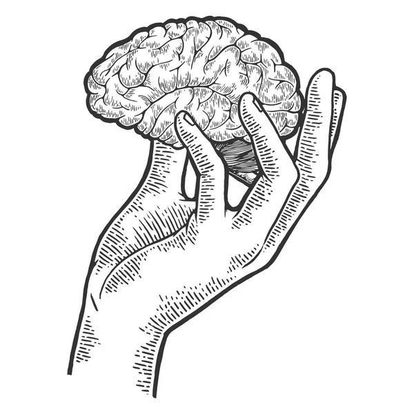 Menschliches Gehirn in der Hand skizziert Graviervektorillustration. Scratch-Board-Imitat. Handgezeichnetes Schwarz-Weiß-Bild. — Stockvektor