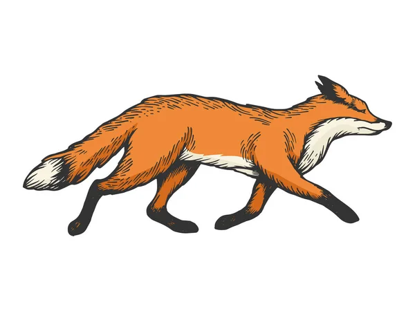 Running Fox dierlijke kleur schets gravure vector illustratie. Imitatie van Scratch board stijl. Zwart-wit hand getekende afbeelding. — Stockvector