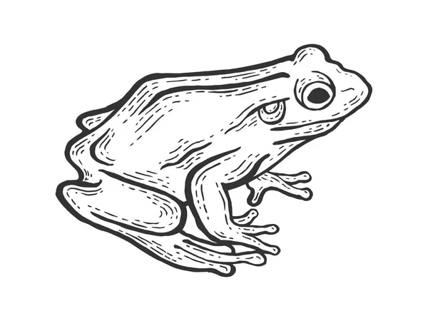 Frog toad animal sketch engraving vector illustration. Scratch board style imitation. Black and white hand drawn image. — Stock Vector