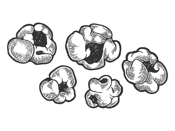 Palomitas de maíz boceto grabado vector — Vector de stock
