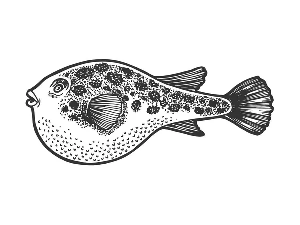 Fugu giftige Fische Skizze Gravur — Stockvektor