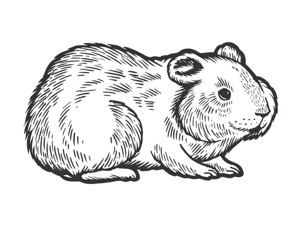 Hamster roedor animal de estimação esboço gravura vetor ilustração. Imitação de estilo Scratch board. Imagem desenhada à mão . —  Vetores de Stock