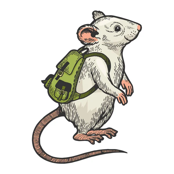 Мультяшна миша з рюкзаком кольоровий ескіз гравіювання Векторні ілюстрації. Імітація стилю подряпини дошки. Чорно-біле намальоване зображення руки . — стоковий вектор