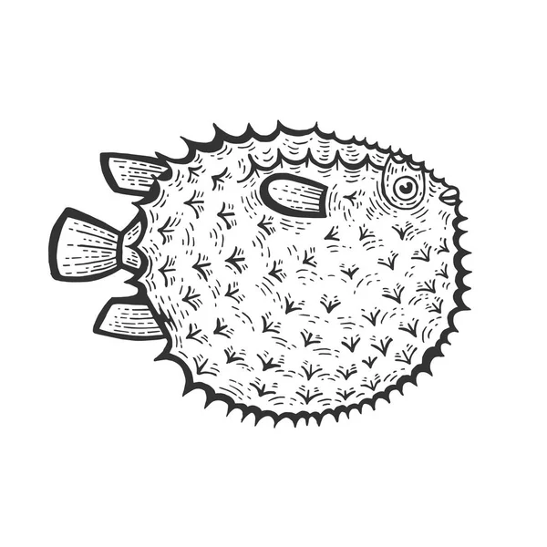 Fugu venenoso tóxico peixe animal esboço gravura vetor ilustração. Imitação de estilo Scratch board. Imagem desenhada à mão preto e branco . —  Vetores de Stock