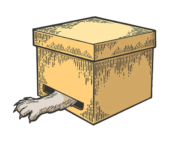 Gato animal en la caja con la pata de captura de color agujero boceto grabado vector ilustración. Scratch board estilo imitación. Imagen dibujada a mano en blanco y negro . — Vector de stock