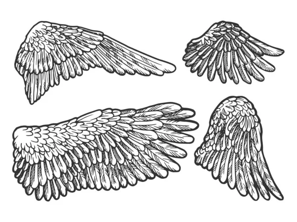 Пташині ангельські крила встановлюють ескізну гравюру Векторні ілюстрації. Імітація стилю подряпини дошки. Чорно-біле намальоване зображення руки . — стоковий вектор