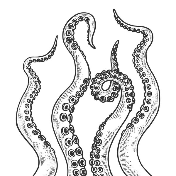 Octopus tentacle set sketch engraving vector illustration. Scratch board style imitation. Black and white hand drawn image.