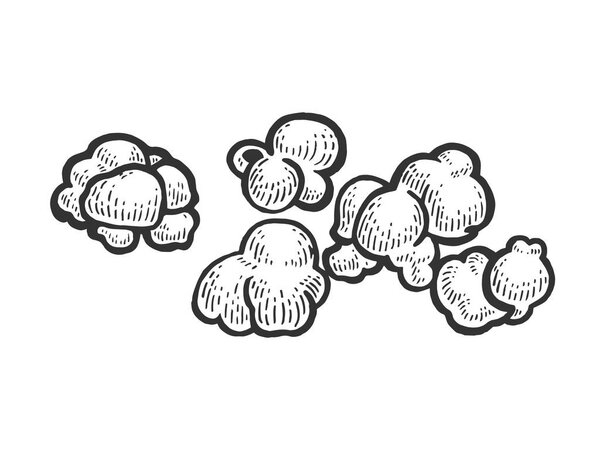 Popcorn food sketch engraving vector illustration. Scratch board style imitation. Black and white hand drawn image.