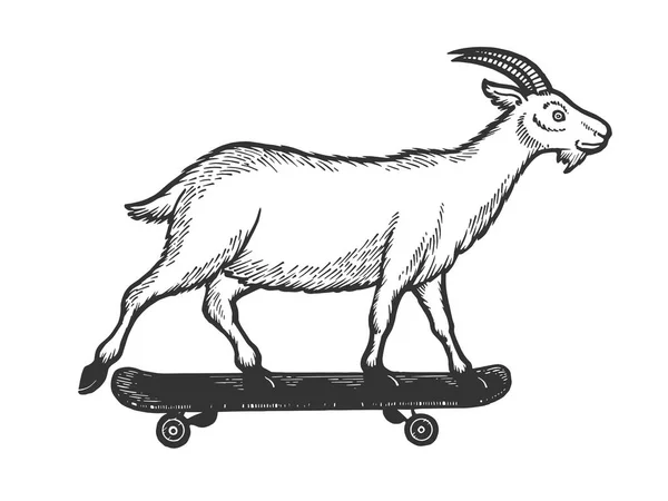 Giro domestico della capra sullo schizzo dello skateboard illustrazione del vettore di incisione. Imitazione in stile gratta e vinci. Immagine disegnata a mano in bianco e nero . — Vettoriale Stock