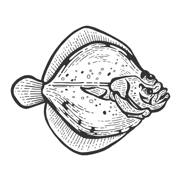 Flounder 플랫 피쉬 플라이스 물고기 동물 스케치 조각 벡터 일러스트. 스크래치 보드 스타일 모방. 흑백 손으로 그린 이미지. — 스톡 벡터