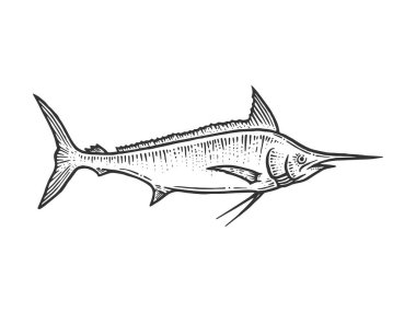 Swordfish marlin çizim hattı sanat gravür vektör illüstrasyon. Scratch tahta tarzı taklit. Elle çizilmiş görüntü.