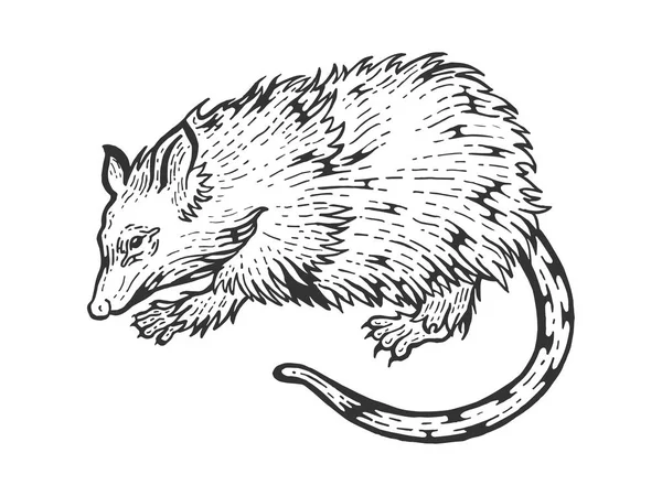 Ilustrasi ukiran vektor gambar tikus Opossum. Peniruan gaya papan gores. Citra gambar tangan hitam dan putih . - Stok Vektor