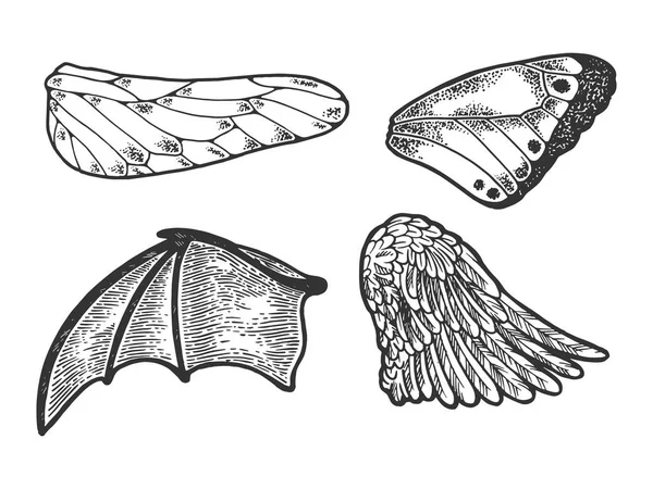 Vogel vleermuis Dragonfly Butterfly vleugels instellen schets lijn Art gravure vector illustratie. Imitatie van Scratch board stijl. Zwart-wit hand getekende afbeelding. — Stockvector