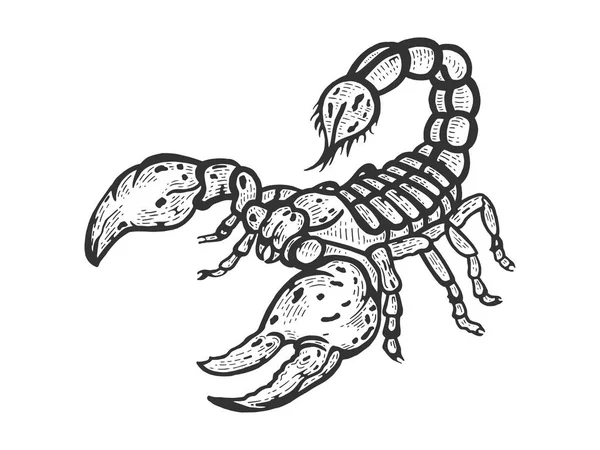 Scorpion sketch line art engraving vector illustration. Scratch board style imitation. Black and white hand drawn image. — Stock Vector