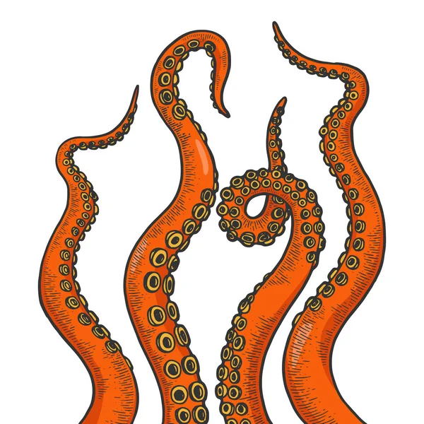 Octopus tentáculo set cor esboço linha arte gravura vetor ilustração. Imitação de estilo Scratch board. Imagem desenhada à mão preto e branco . —  Vetores de Stock