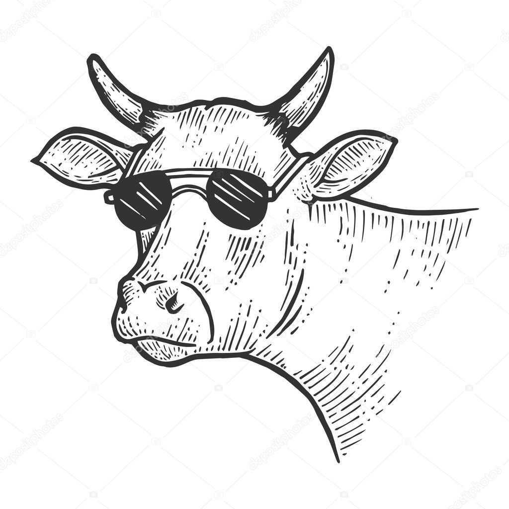 Cow animal in sunglasses line art sketch engraving vector illustration. Scratch board style imitation. Black and white hand drawn image.