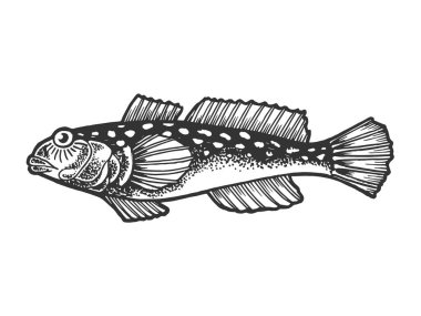 Goby balık hayvan çizim oyma vektör illüstrasyon. Scratch tahta tarzı taklit. Siyah beyaz elle çizilmiş görüntü.