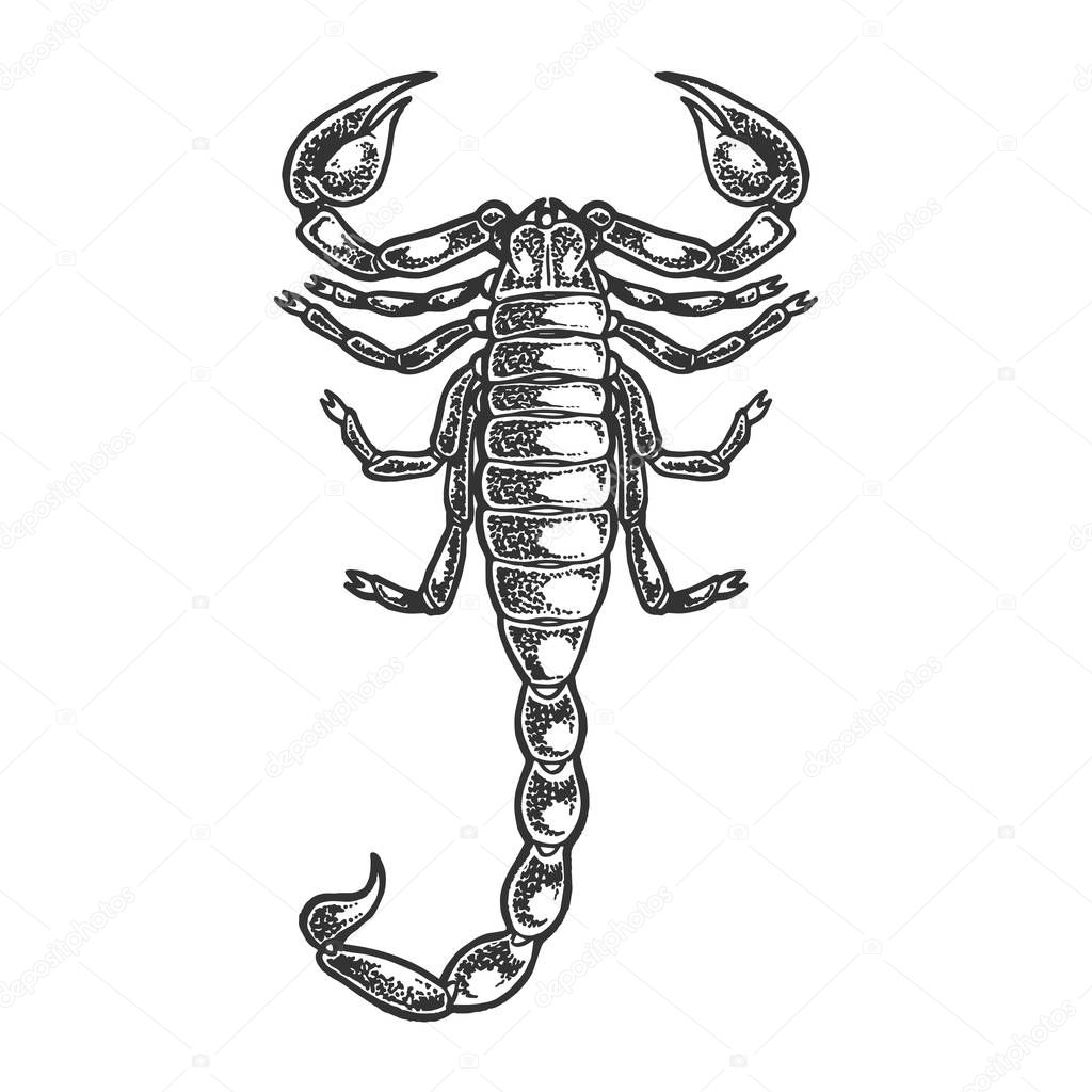 Scorpion sketch line art engraving vector illustration. Scratch board style imitation. Black and white hand drawn image.