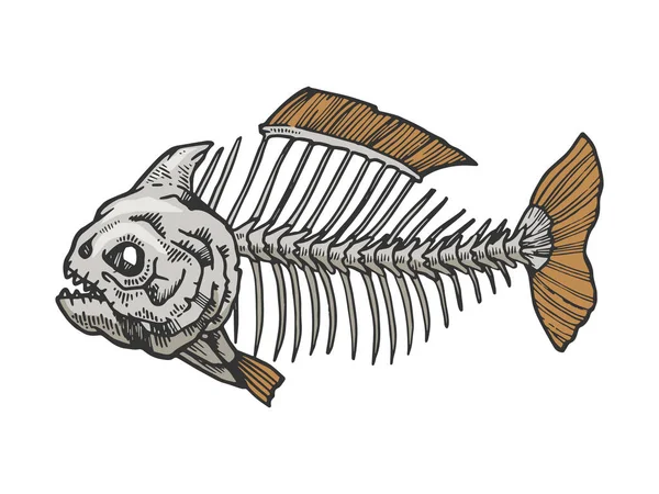 Piranha esqueleto de peixe cor animal esboço gravura vetor ilustração. Imitação de estilo Scratch board. Imagem desenhada à mão preto e branco . — Vetor de Stock