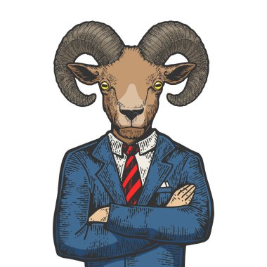 Ram baş işadamı renkli kroki gravür vektör illüstrasyon. Scratch tahta tarzı taklit. Siyah beyaz elle çizilmiş görüntü.