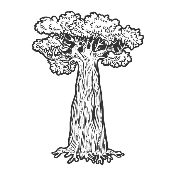 Баобаб мавпа хліб дерево ескіз гравіювання Векторні ілюстрації. Імітація стилю подряпини дошки. Мальоване зображення вручну . — стоковий вектор