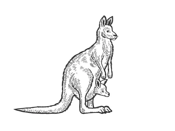 Kangoeroe met baby Cub in Kangaroo Pouch dierlijke schets gravure vector illustratie. Imitatie van Scratch board stijl. Zwart-wit hand getekende afbeelding. — Stockvector