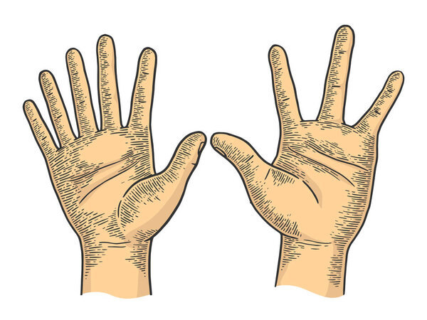 Unusual hands with six and four fingers color sketch engraving vector illustration. Scratch board style imitation. Black and white hand drawn image.