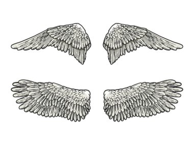 Kuş melek kanatları kroki gravür vektör illüstrasyon ayarlayın. Scratch tahta tarzı taklit. Siyah beyaz elle çizilmiş görüntü.