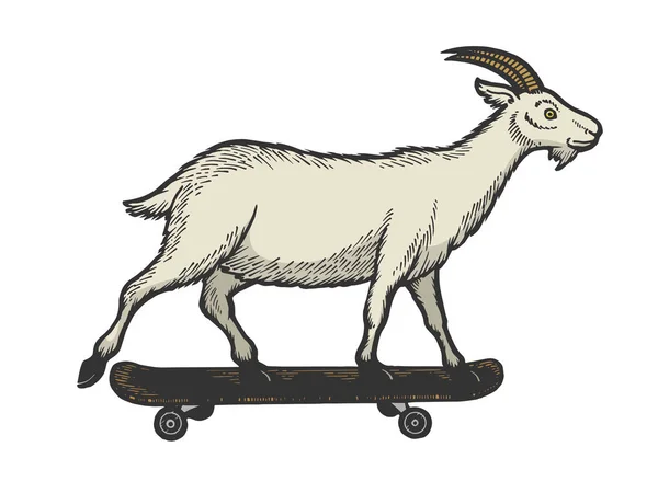 国内山羊骑滑板素描雕刻矢量插图。刮板式仿制。黑白手绘图像. — 图库矢量图片