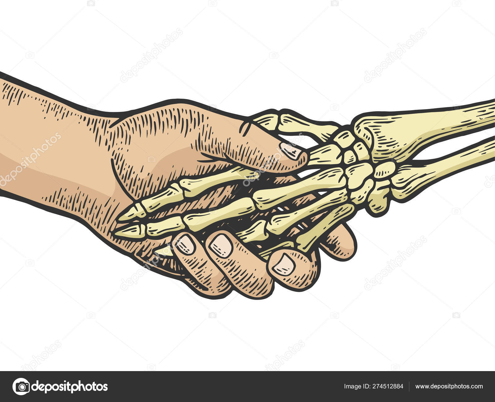 Muerte esqueleto apretón de manos color boceto grabado vector ilustración.  Scratch board estilo imitación. Imagen dibujada a mano en blanco y negro .  Vector de stock #274512884 de ©AlexanderPokusay, image size:1600x1300