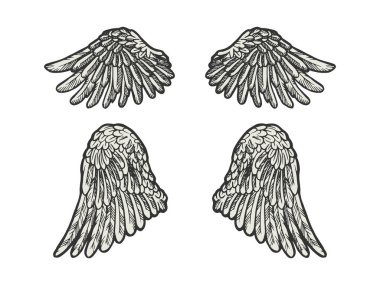 Kuş melek kanatları kroki gravür vektör illüstrasyon ayarlayın. Scratch tahta tarzı taklit. Siyah beyaz elle çizilmiş görüntü.