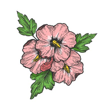 Hibiscus petunia viyola çiçek bitki renk çizim oyma vektör illüstrasyon. Scratch tahta tarzı taklit. Siyah beyaz elle çizilmiş görüntü.