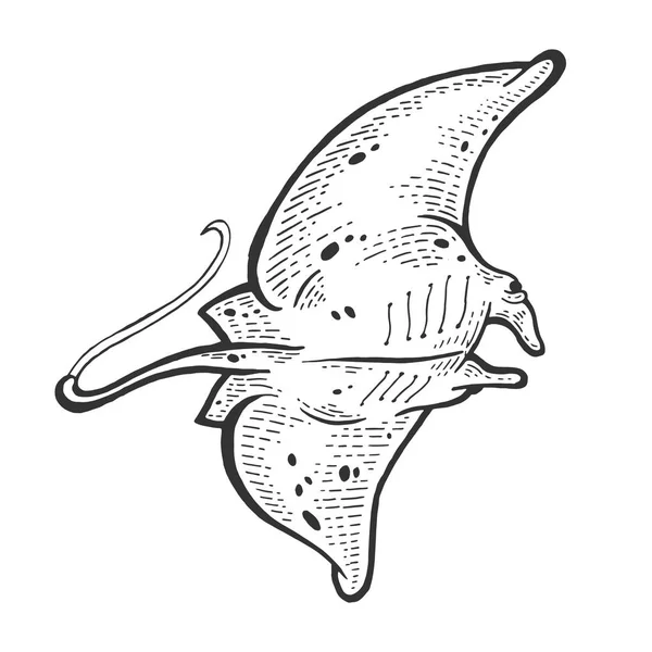 Batoidea stingray animale marino schizzo incisione vettoriale illustrazione. Imitazione in stile gratta e vinci. Immagine disegnata a mano in bianco e nero . — Vettoriale Stock